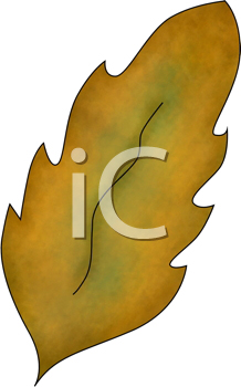 Thanksgiving Clipart