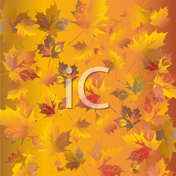 Thanksgiving Clipart