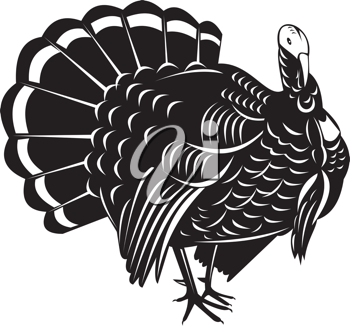 Thanksgiving Clipart