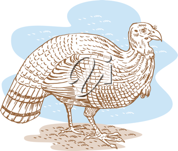 Thanksgiving Clipart