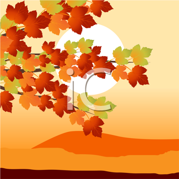 Thanksgiving Clipart