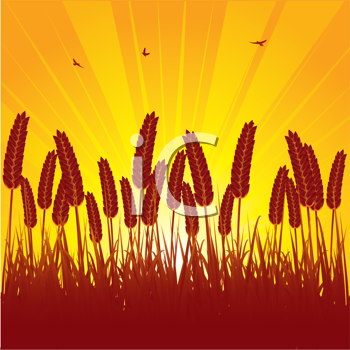 Thanksgiving Clipart