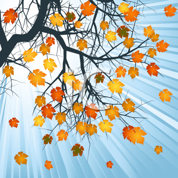 Thanksgiving Clipart