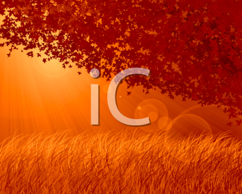 Thanksgiving Clipart