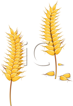 Thanksgiving Clipart