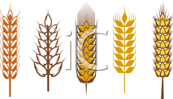 Thanksgiving Clipart
