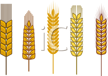 Thanksgiving Clipart