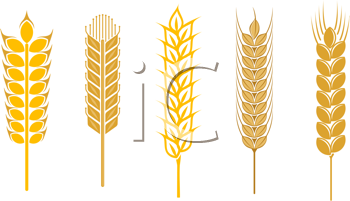 Thanksgiving Clipart
