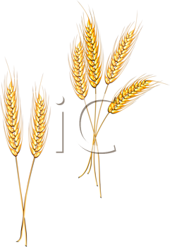 Thanksgiving Clipart