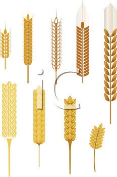 Thanksgiving Clipart