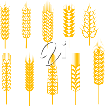 Thanksgiving Clipart