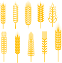Thanksgiving Clipart