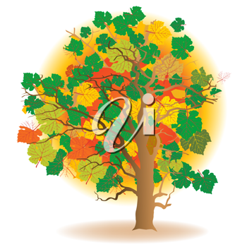 Thanksgiving Clipart