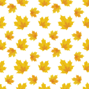 Thanksgiving Clipart