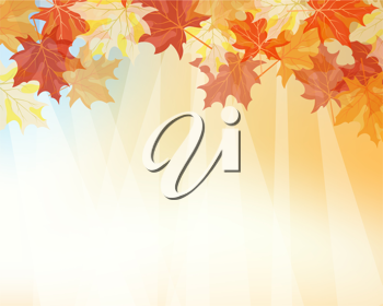 Thanksgiving Clipart