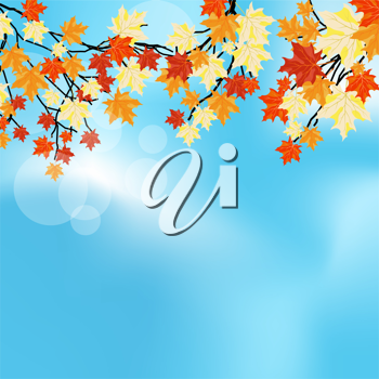 Thanksgiving Clipart