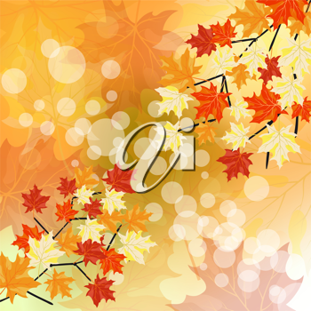 Thanksgiving Clipart