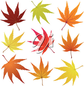Thanksgiving Clipart
