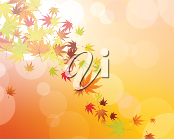 Thanksgiving Clipart