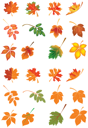Thanksgiving Clipart
