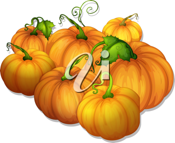 Thanksgiving Clipart