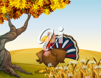 Thanksgiving Clipart