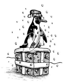 Christmas Penguin Clipart
