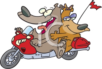 Bear Clipart