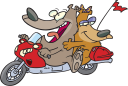 Bear Clipart