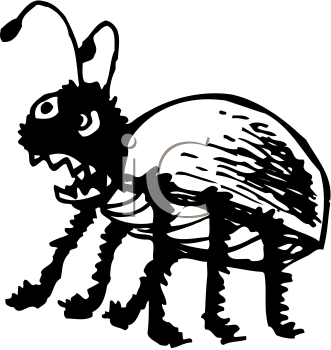 Bug Clipart
