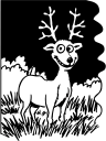 Deer Clipart