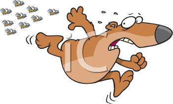 Bear Clipart