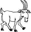 Cartoon Clipart