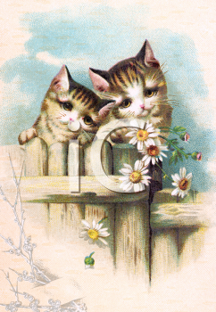 Victorian Cat Clipart