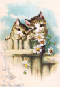 Victorian Cat Clipart