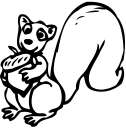 Squirrel Clipart