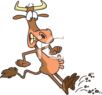 Cow Clipart