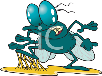 Bug Clipart