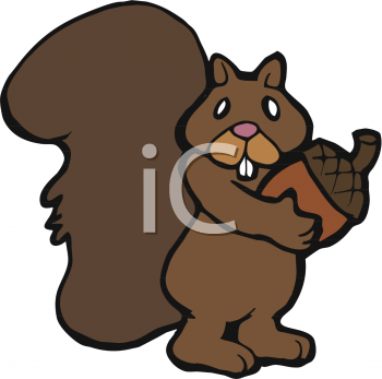 Squirrel Clipart