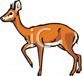 Deer Clipart
