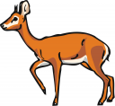 Deer Clipart