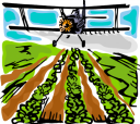 Bug Clipart