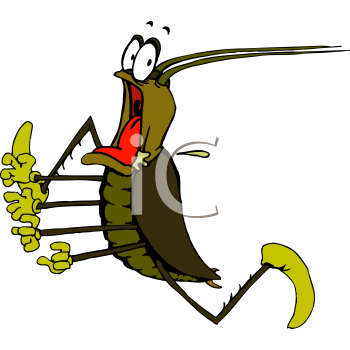 Bug Clipart
