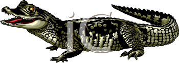 Crocodile Clipart