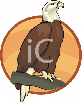 Animal Symbol Clipart