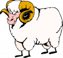 Sheep Clipart