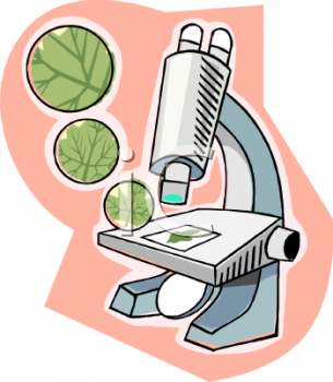 Lab Clipart