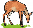 Deer Clipart