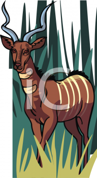 Deer Clipart