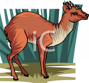 Deer Clipart